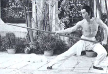 Langstock im Wing Chun, die 5. Form